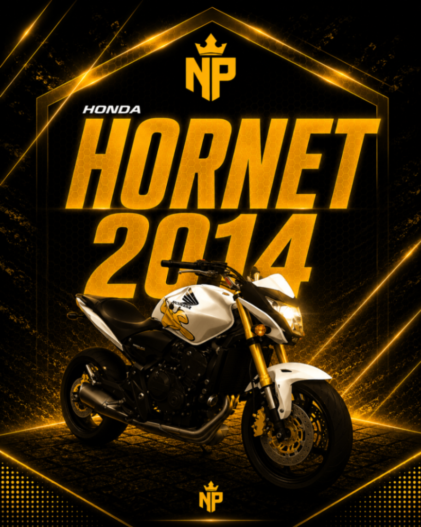 HORNET 2014