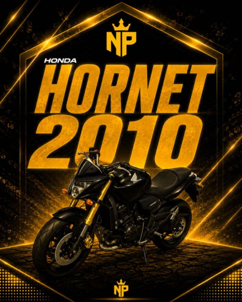 HORNET 2010